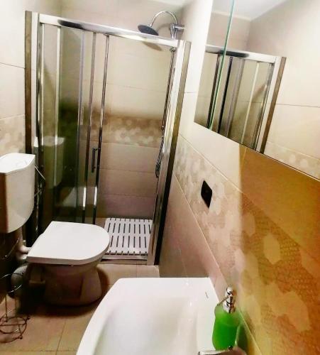 a bathroom with a shower and a toilet and a sink at Ograda Bunicilor Gura Humorului in Gura Humorului