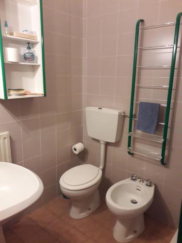 a bathroom with a white toilet and a sink at Abetone - Parco dei Daini in Abetone