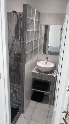 uma casa de banho com um lavatório e um chuveiro em PARADIS TURQUOISE LOCATIONS em Les Trois-Îlets