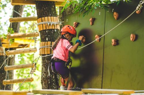 a young girl climbing up a tree on a zip line at Pensiunea Agroturistica Cerna, Vaideeni - Polovragi in Vaideeni