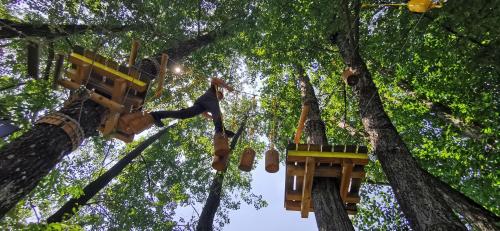a man is hanging from a tree at Pensiunea Agroturistica Cerna, Vaideeni - Polovragi in Vaideeni