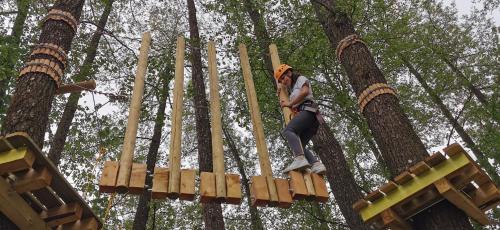 a person climbing on a wooden bridge in a tree at Pensiunea Agroturistica Cerna, Vaideeni - Polovragi in Vaideeni
