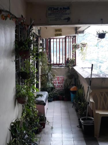 uma sala cheia de plantas e uma janela em CVBNB BAGUIO GUESTHOUSE em Baguio