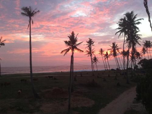 a group of palm trees on a beach with a sunset at Lion's Rest in Weligama