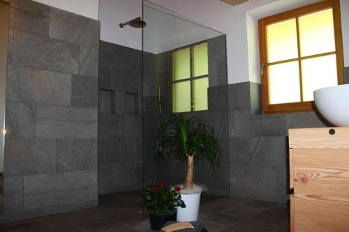 a bathroom with a shower with a plant in it at Putzerhof in Funes