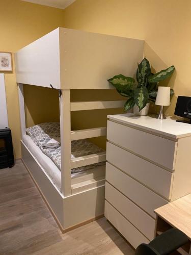 プラウエンにあるWieko Ferienwohnungenの二段ベッド、デスク、植物が備わる客室です。