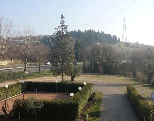 a view of a park with a tree and bushes at Hotel Main Street in Cerasolo