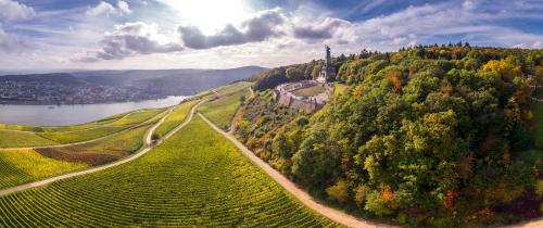 an aerial view of a hill with trees and a river at Breuer's Rüdesheimer Schloss in Rüdesheim am Rhein