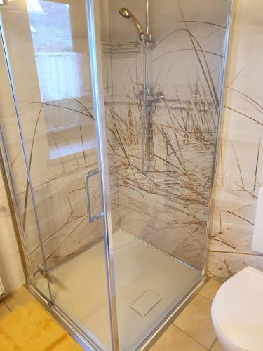 a shower with a glass door in a bathroom at Erzgebirgshütte in Pobershau
