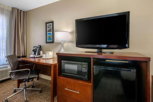 Телевизор и/или развлекательный центр в Comfort Inn Ocala Silver Springs
