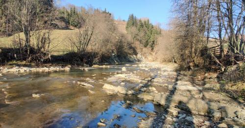 a river with rocks on the side of it at Вудхарт2 in Yasinya