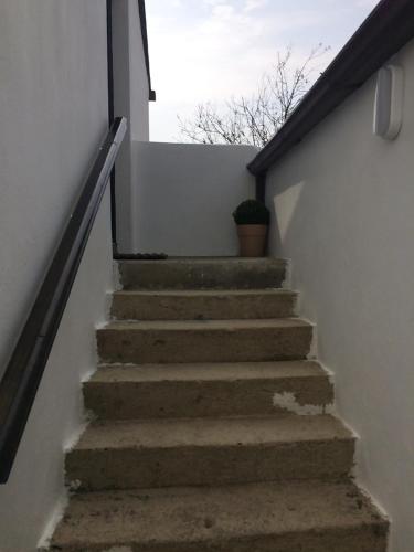 a set of stairs with a potted plant on them at Cosy stylish 1-Bed Apartment in South Armagh in Cullyhanna