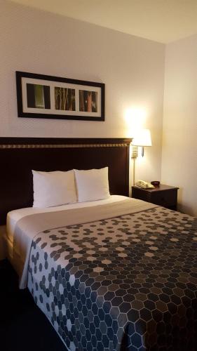 a bedroom with a bed with a blue and white comforter at Rodeway Inn Urbana Champaign University Area in Champaign