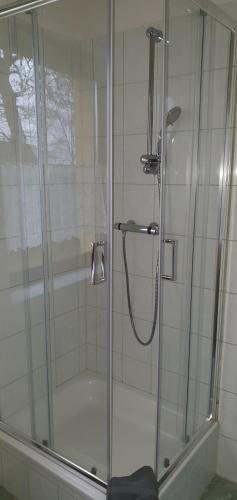 a shower with a glass door in a bathroom at Landpension Wendfeld in Sanitz