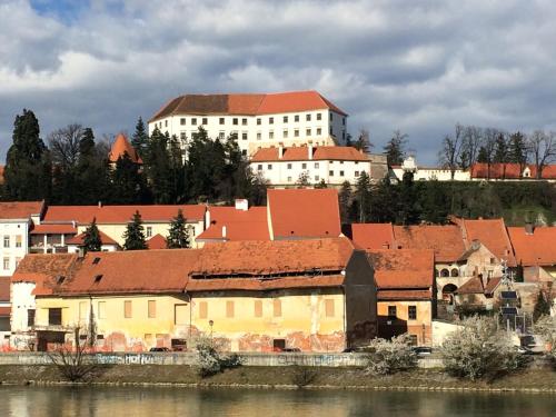 a group of buildings with red roofs next to a river at Hotel Murat in Ptuj