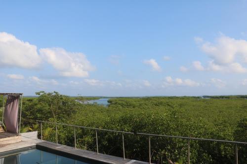 a view of a river from the balcony of a house at Villa F&B in Bocas del Toro