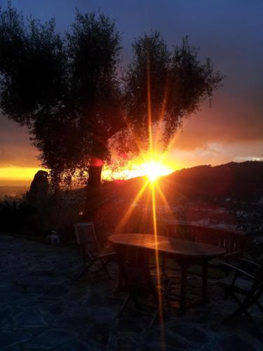 a sunset with a picnic table and a tree at la gatta sul sentiero in San Salvatore