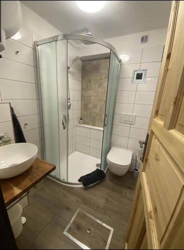 a bathroom with a shower and a toilet and a sink at Horská Chata U Kameníčka in Jáchymov
