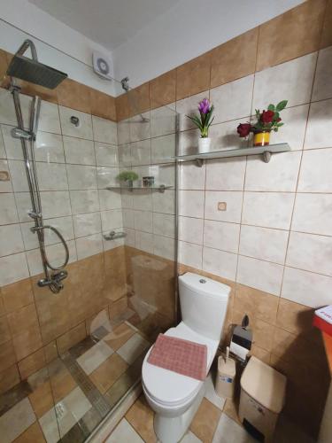 a bathroom with a shower and a toilet and a shower at In The Castle - House in Ioannina