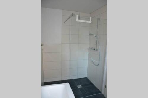 a bathroom with a shower and a sink at Ferienwohnung Boger in Wannweil