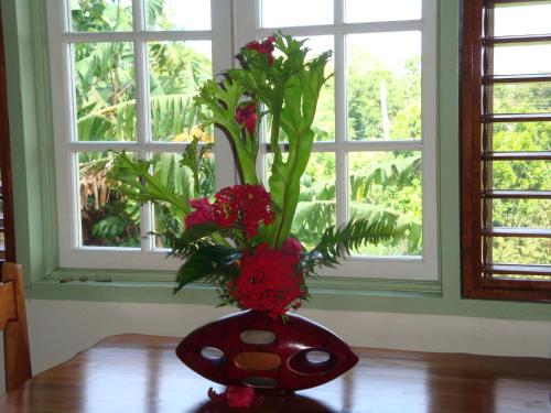 a red vase with red flowers on a table at Pimento Lodge Resort in Port Antonio