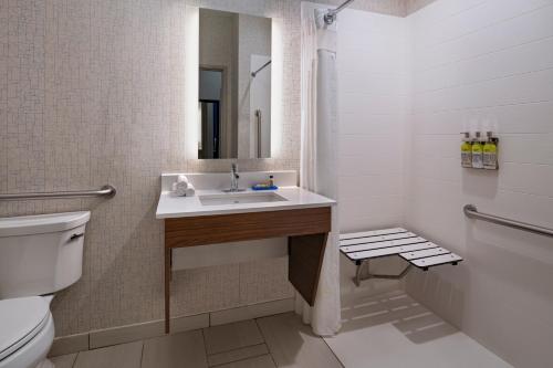 a bathroom with a sink and a toilet and a mirror at Holiday Inn Express & Suites Cedar Park (Nw Austin), an IHG Hotel in Cedar Park