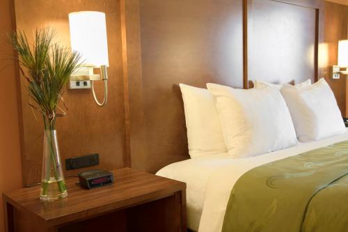 Ein Bett oder Betten in einem Zimmer der Unterkunft Quality Inn Merced Gateway to Yosemite