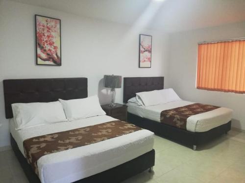 1 dormitorio con 2 camas y ventana en Apartamentos Turisticos Doña Flor, en San Andrés