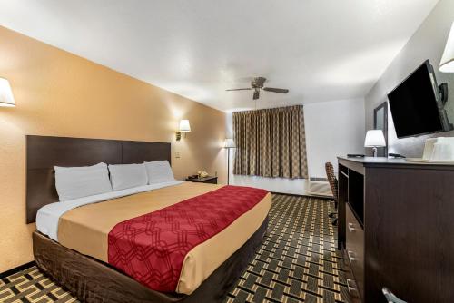 een hotelkamer met een bed en een flatscreen-tv bij Econo Lodge La Junta in La Junta