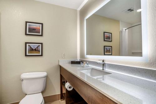 a bathroom with a toilet and a large mirror at Comfort Inn & Suites Millbrook-Prattville in Millbrook