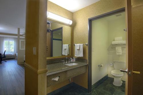 a bathroom with a sink and a toilet and a mirror at Azure Hotel&Suites Ontario Trademark Collection by Wyndham in Ontario