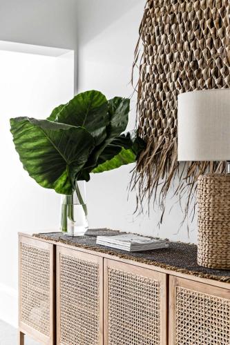 a plant on top of a dresser in a room at St Marks Randwick in Sydney