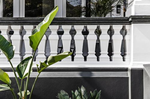 a white railing on a house with a plant at St Marks Randwick in Sydney