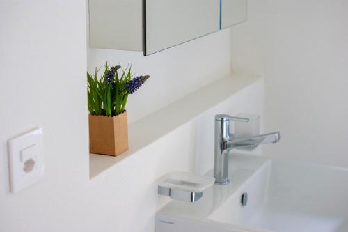 a bathroom with a sink and a vase with purple flowers at Budget rooms Pilatus - Alpnachstad in Alpnachstad