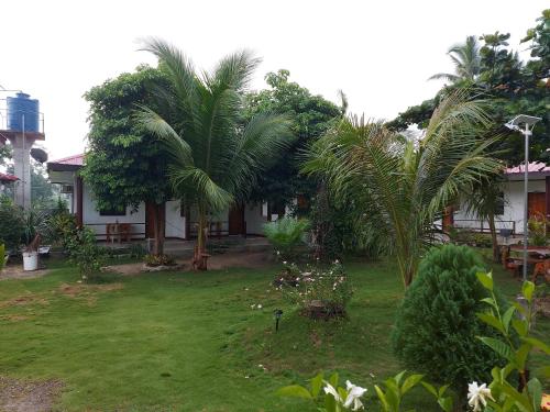 a yard with palm trees and a house at Gardenview Homestay Siargao in General Luna