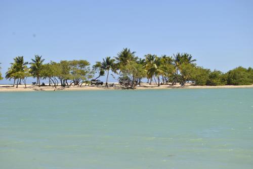 a view of a beach with palm trees and the water at Hotel Loro Tuerto in Santa Cruz de Barahona