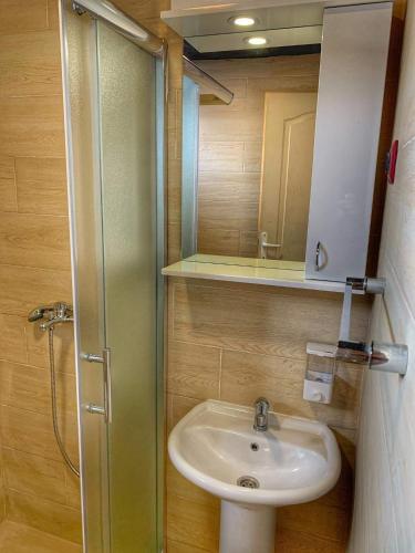 a bathroom with a sink and a mirror at Brvnare Cirkovic in Zlatibor