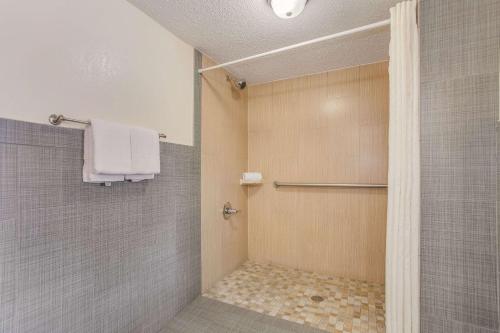 a bathroom with a shower with a towel at Econo Lodge North Charleston in Charleston