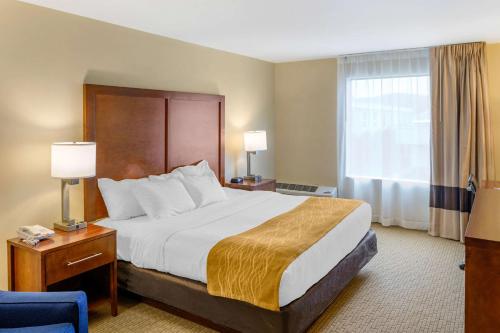 Habitación de hotel con cama grande y ventana en Comfort Inn Monticello, en Charlottesville