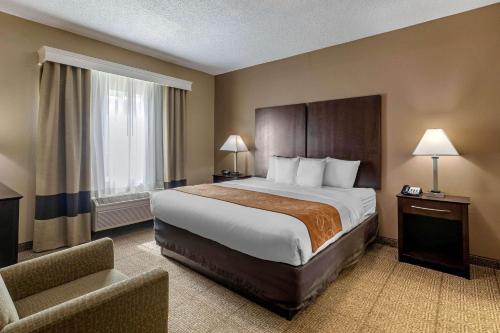 Легло или легла в стая в Comfort Suites The Colony - Plano West