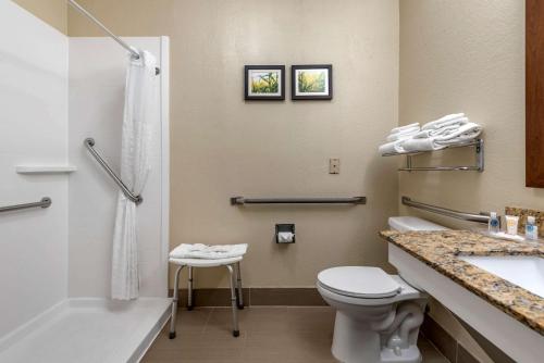 Gallery image of Comfort Suites Auburn near I-69 in Auburn