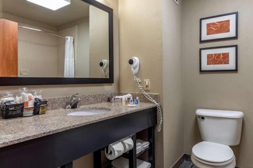 a bathroom with a toilet and a sink with a mirror at Comfort Inn & Suites Pauls Valley - City Lake in Pauls Valley