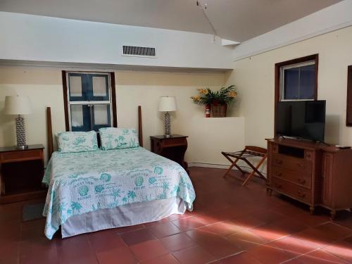 1 dormitorio con 1 cama y TV de pantalla plana en The Landmark St Thomas 3BR Apt, en Fort Christian