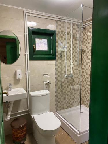 a bathroom with a shower and a toilet and a sink at Guest House Golijski Dar in Dajići