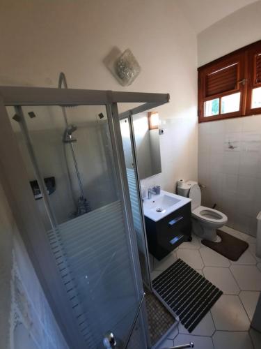 a bathroom with a shower and a sink and a toilet at Le Coin Tranquille in Sainte-Anne