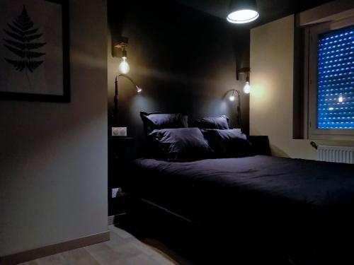 a dark room with a bed and a window at Maison avec garage, terrasse, l'Herboristerie in Béthune