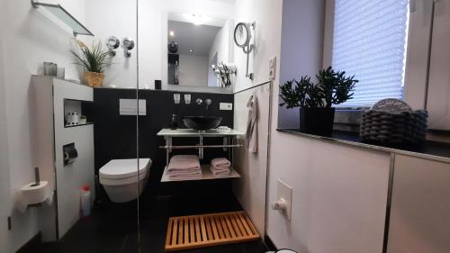 e bagno con servizi igienici e doccia in vetro. di Appartment Fasanenhof Klinikum und Uni nah mit Netflix a Kassel