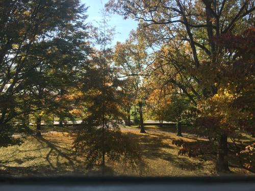 a view of a park with trees in the fall at Charred Oaks Inn in Versailles