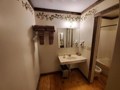 a bathroom with a sink and a toilet and a mirror at Jamesport Inn in Jamesport