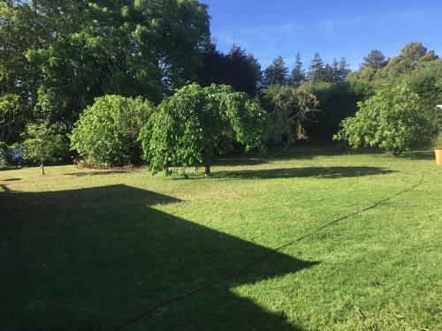 a shadow of a tree on a grass field at Pa Road B&B Kerikeri NZ in Kerikeri